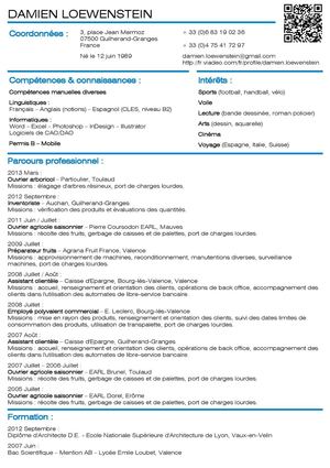Loewenstein Damien - Curriculum Vitae - Emplois saisonniers