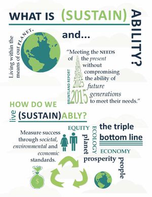 Infographic 