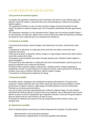 65478887-la-nutricio-de-les-plantes