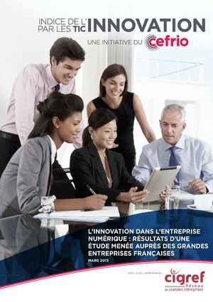 2013-Innovation-entreprise-numerique-Indice