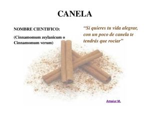 AMAIURcanela