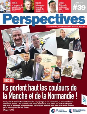 Perpectives39internet