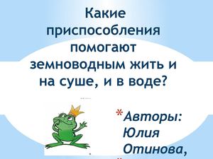 Какие приспособления помогают земноводным жить и на суше и в воде