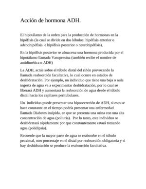 accion de hormona adh