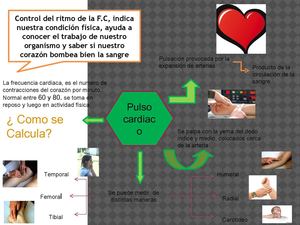 mapa mental. salud fisica