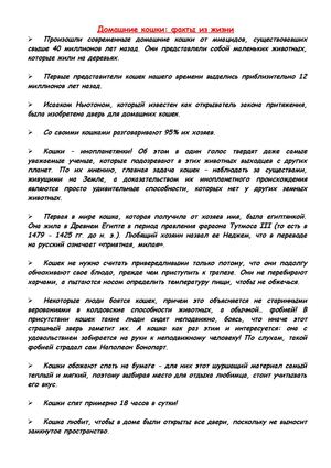 Интересные факты о кошках