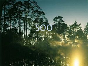 Soo