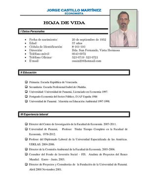 Hoja de Vida del Profesor Jorge Castillo