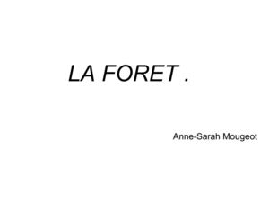 La forêt . Anne-Sarah Mougeot