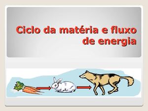 Fluxo de energia e ciclo de matéria 2013