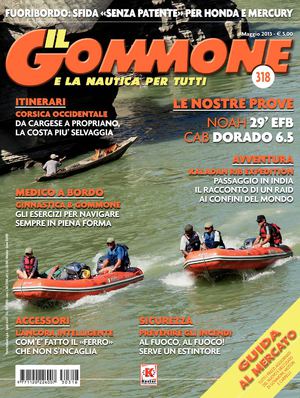 Maggio 2013 - n. 318