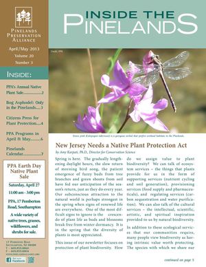 Inside the Pinelands, April May 2013