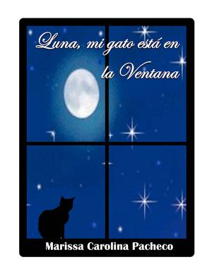 Luna, mi gato está en la ventana