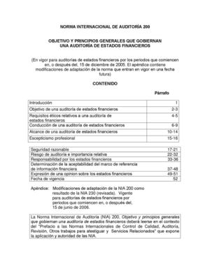 NORMA INTERNACIONAL DE AUDITORIA 