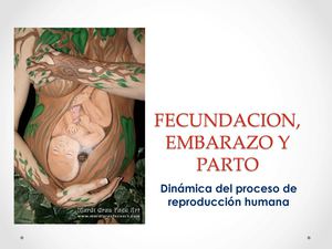 grado Noveno. FECUNDACIÓN, EMBARAZO Y PARTO