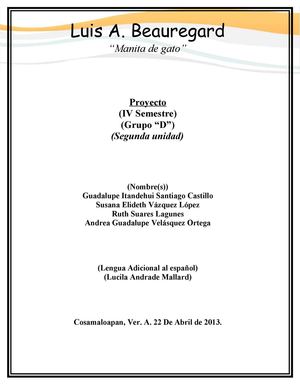 Proyecto manita de gato 