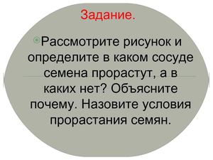 Условия прорастания семян