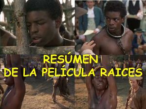 RESUMEN - PELICULA RAICES