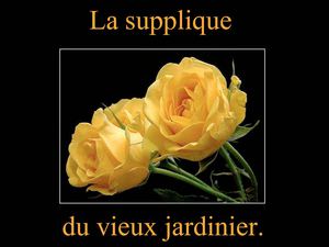 LA COMPLAINTE DU JARDINIER