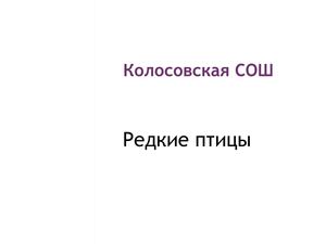 какие разные бывают скворцы