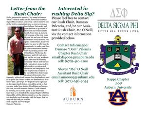 Delta Sigma Phi Rush Brochure