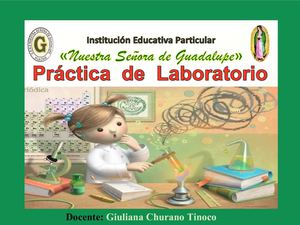 PRÁCTICA  DE  LABORATORIO  -  SEC.1