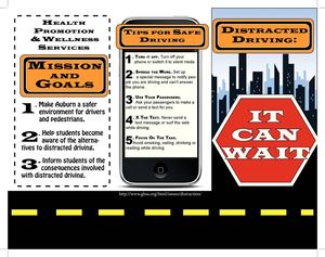 Distracted Driving Brochure