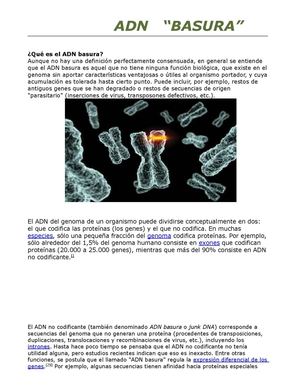 EL ADN "BASURA"