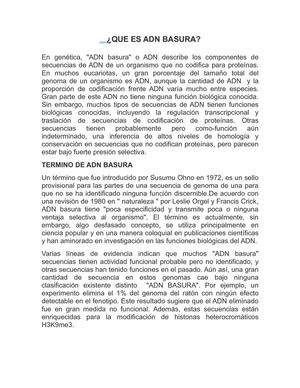 QUE ES ADN BASURA
