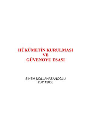 Sinem MOLLAHASANOĞLU - Hükümetin Kurulması ve Güvenoyu