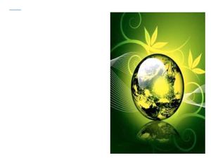 proyecto ambiental i.e.i.y.y