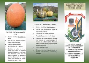 CATALOGO DE SEMILLAS DE CUCÚRBITAS SIGSEÑAS.