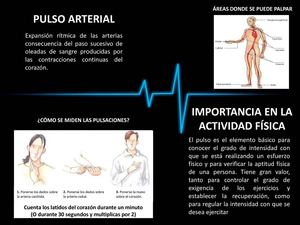 Pulso Arterial