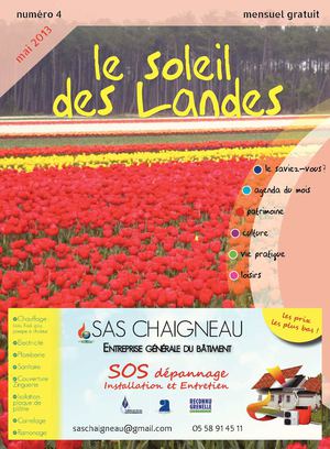 Le soleil des Landes n°4