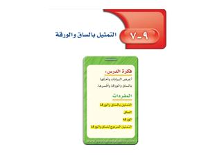 عرض درس التمثيل بالساق والورقة للصف ثاني متوسط الفصل الدراسي الثاني