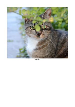 Petite balade bordelaise