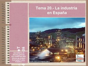Tema 19 y 20.- La Industria española 2