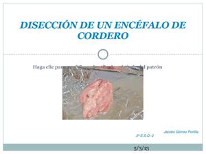 Disección de encéfalo de cordero realizada por Jacobo Gómez Portilla