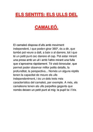 Els ulls del camaleó