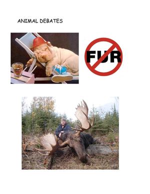 Animals debate