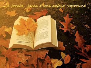 La poesia del segle XIX