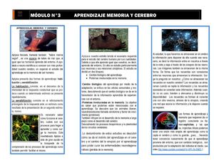 Módulo N°3 Aprendizaje Memoria y Cerebro