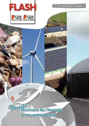 Flash n°3 : Avril - Juin 2013