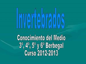 Animales Invertebrados