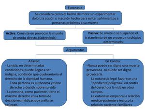 Mapa conceptual, Eutanasia