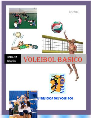 voleibol basico