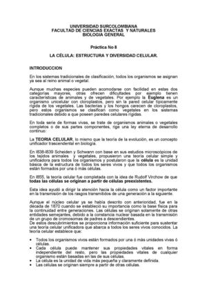 Informe Quimica 2013