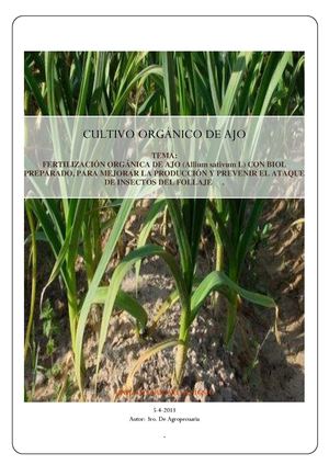 PROYECTO DE FERTILIZACIÓN ORGÁNICA  EN AJO-UE SIGSIG