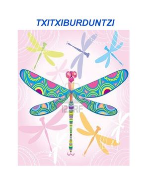 TXITXIBURDINTZI