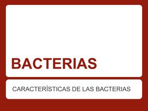 Bacterias